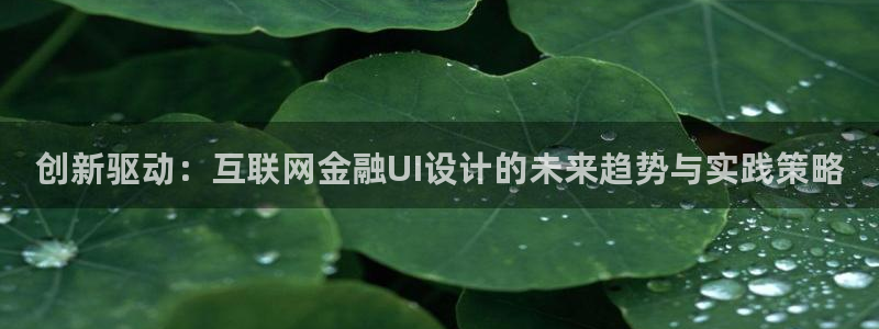 九游会ag亚