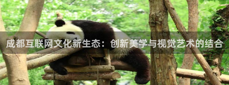 九游会提现