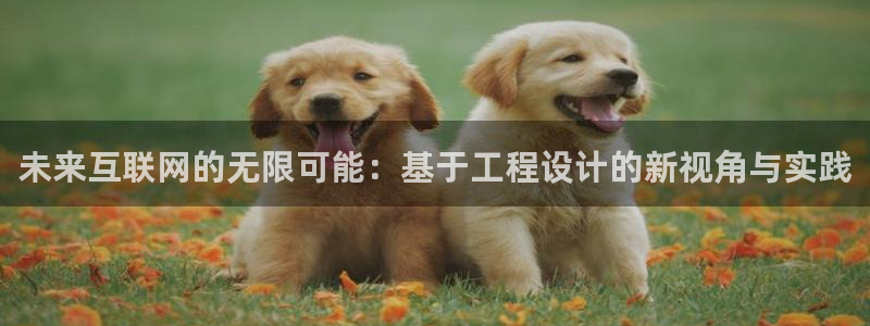 九游会正规备用网址
