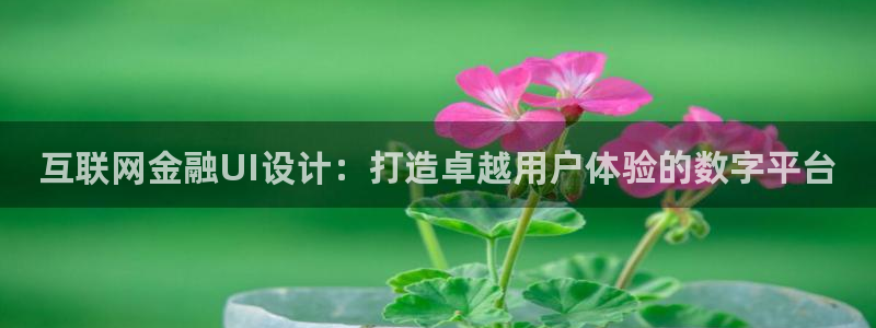 ag九游会明星代言