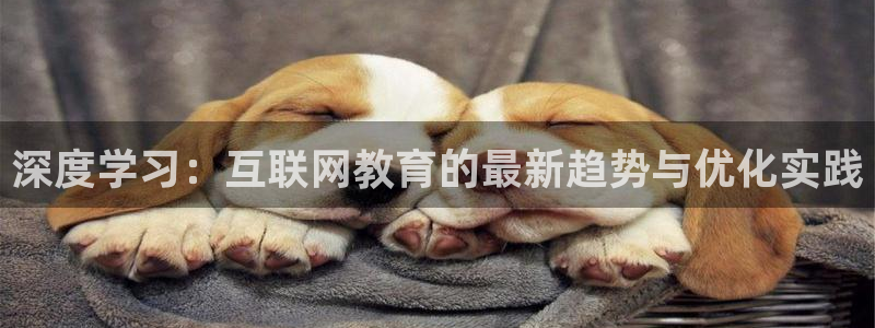 九游会正规