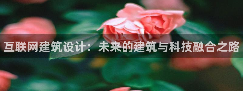九游会ip