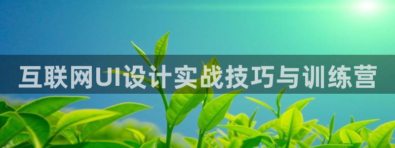 九游会vip入口