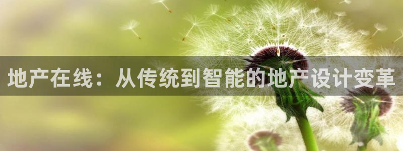 九游光遇会