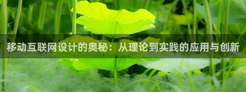 九游会体育官方平台