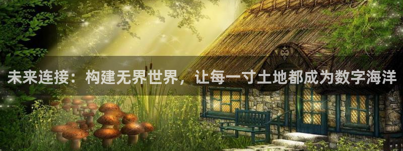 中国九游会