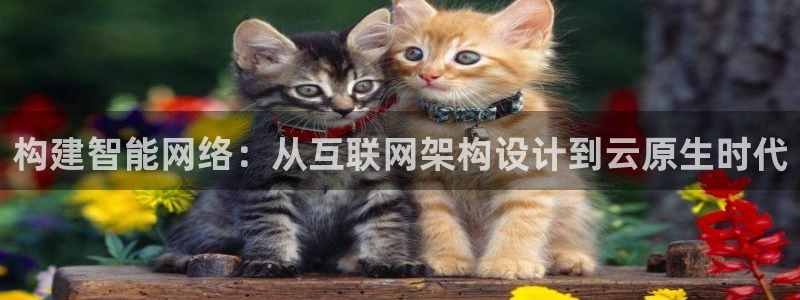 九游会vip俱乐部