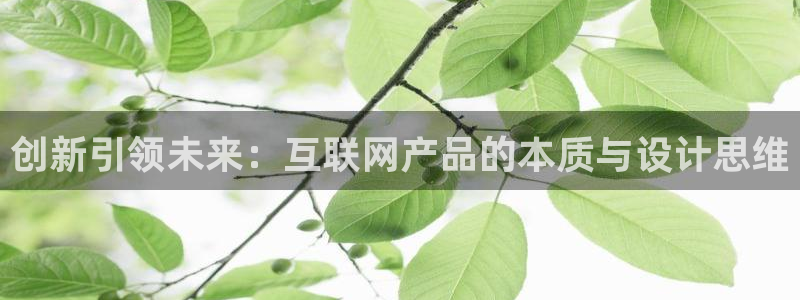 九游会网页入口