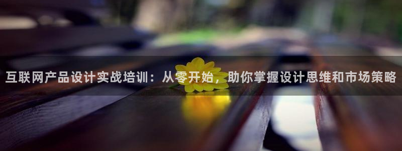 玩九游会
