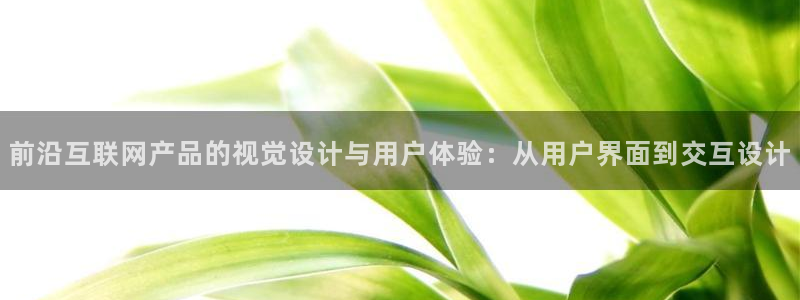 j9九游会网赌
