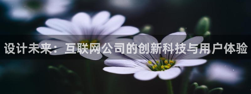 九游会游戏官网入口：设计未来：