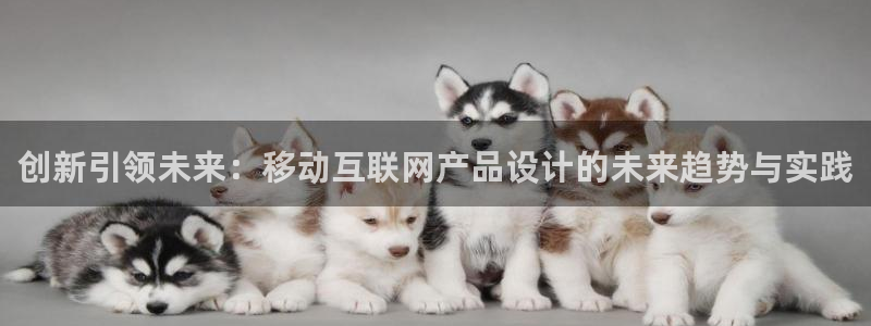 九曲灯游会：创新引领未来：移动