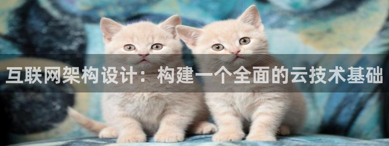 九游会app下载-首页：互联网