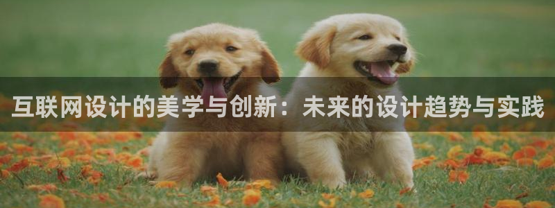 旧版九游会：互联网设计的美学与