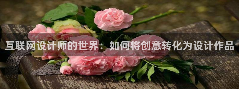 九游会体育登录：互联网设计师的