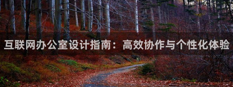 九游会备用网站