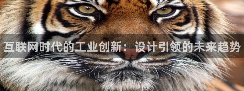 九游会网页版官网