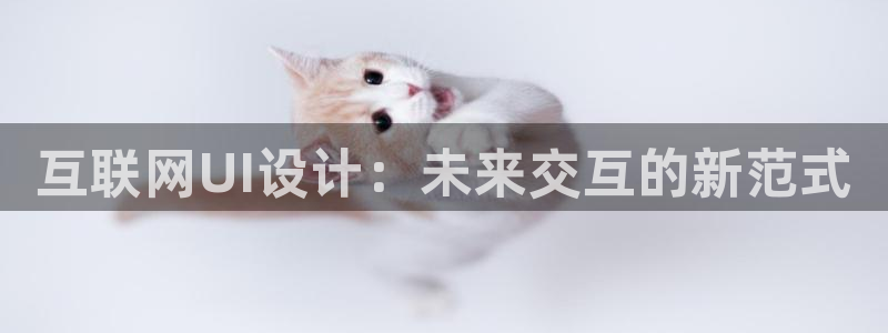 九游会a g