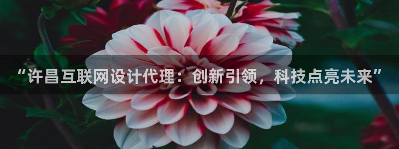 九游会代理：“许昌互联网设计代