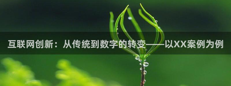 九游会新版：互联网创新：从传统