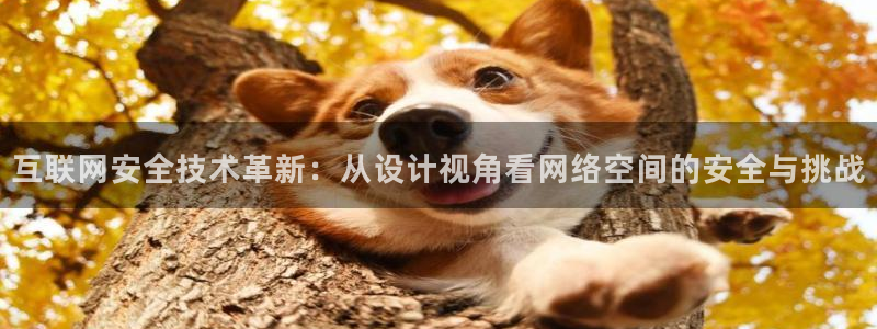 九游会备用：互联网安全技术革新