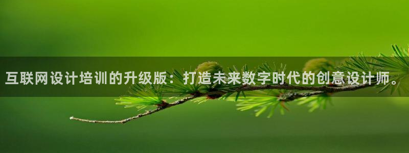 九游会ag 只为非凡