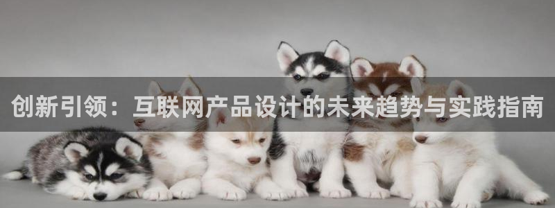九游会论坛：创新引领：互联网产
