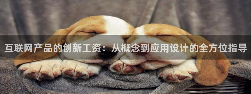 九游会官方首页进入