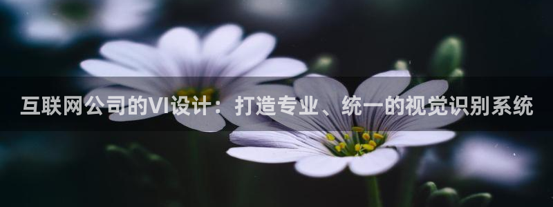 九游会视讯厅