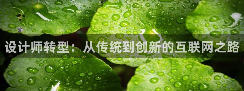 九游会vip俱乐部