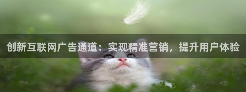 jd九游会