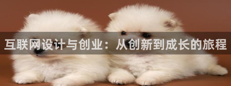 j9九游会平台