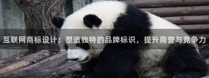 九游会ag 只为非凡