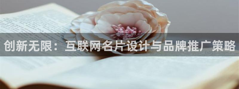 莉莉斯园游会九游