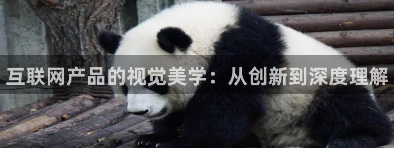 j9九游会网址多少