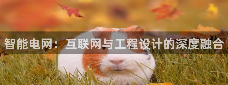 AG九游会官方首页：智能电网：