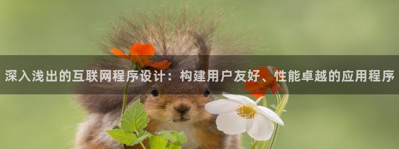 九游会、：深入浅出的互联网程序