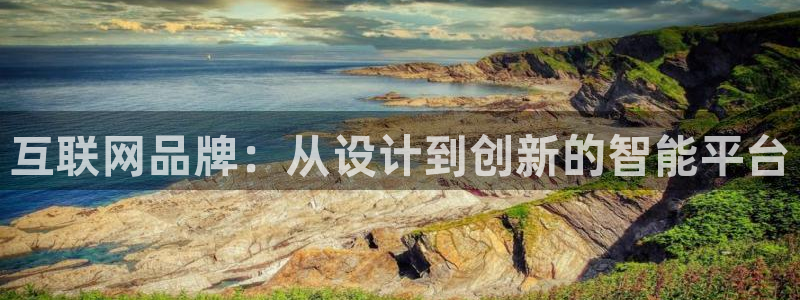 九游会网页版登录入口：互联网品