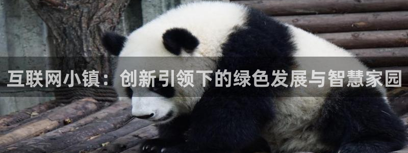 九游会 ag：互联网小镇：创新