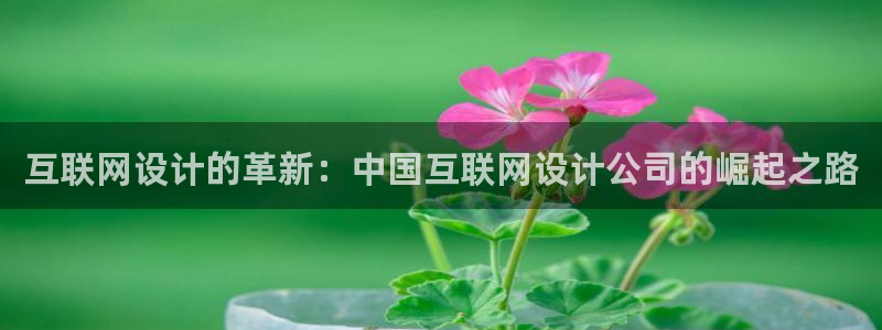 九游会登录网：互联网设计的革新