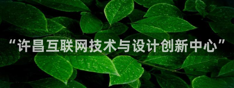 九游会最新线路