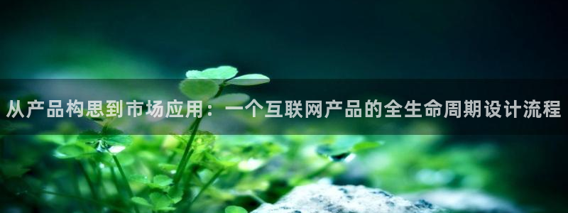 九游会数字货币平台