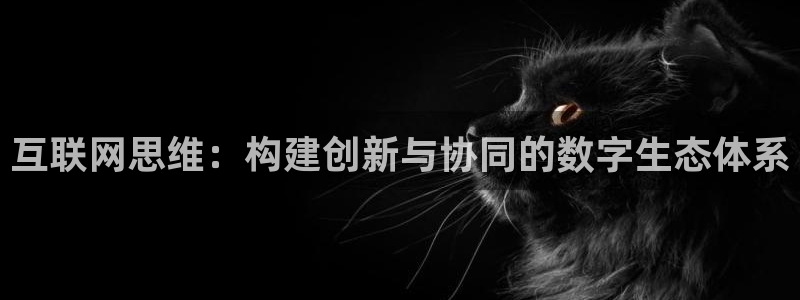 九游会平台体育：互联网思维：构